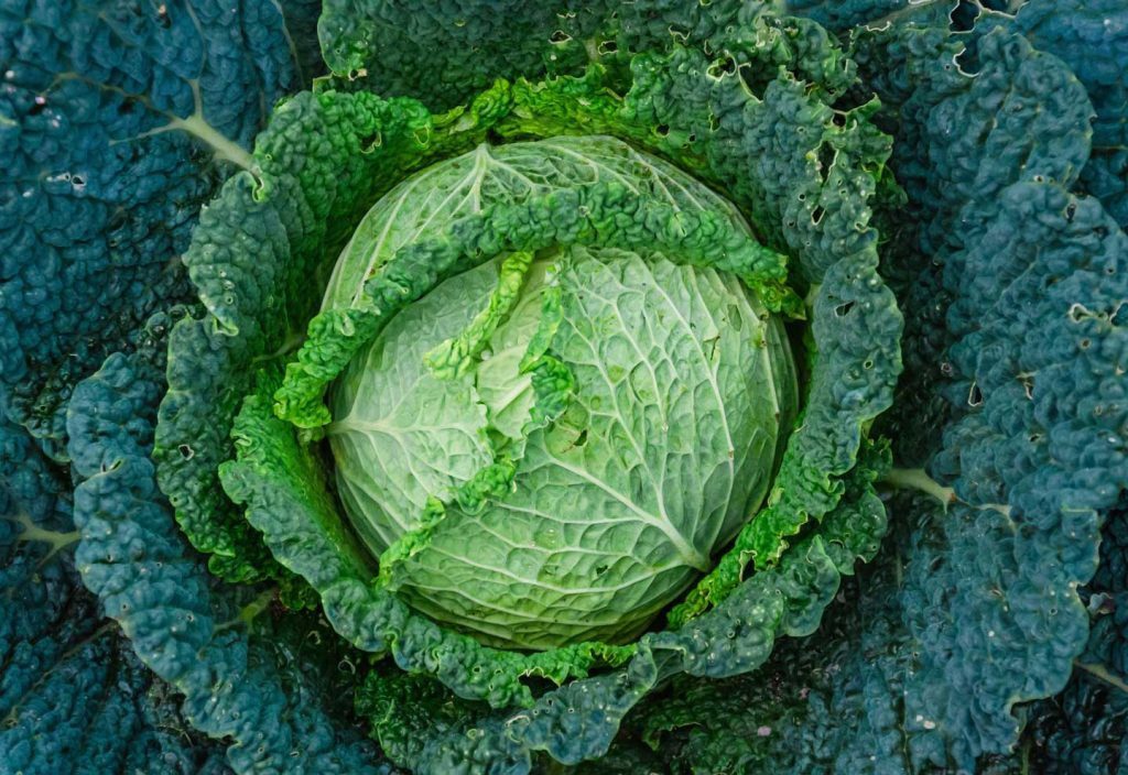 Superfoods groenten boerenkool